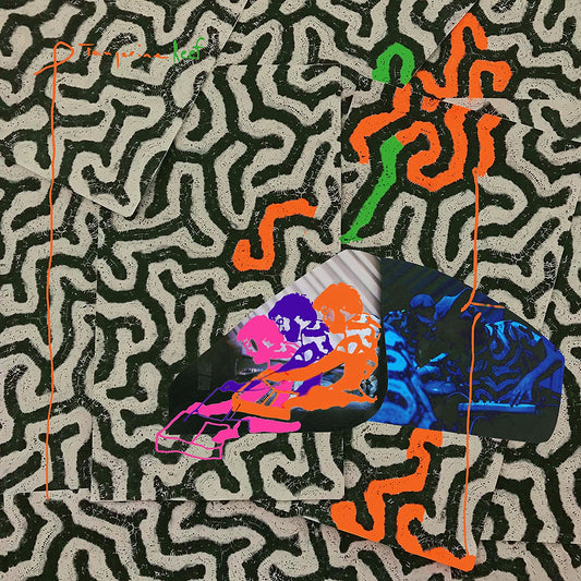 Animal Collective/Tangerine Reef [LP]