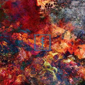 Frail Body/Artificial Bouquet (Coloured Vinyl) [LP]