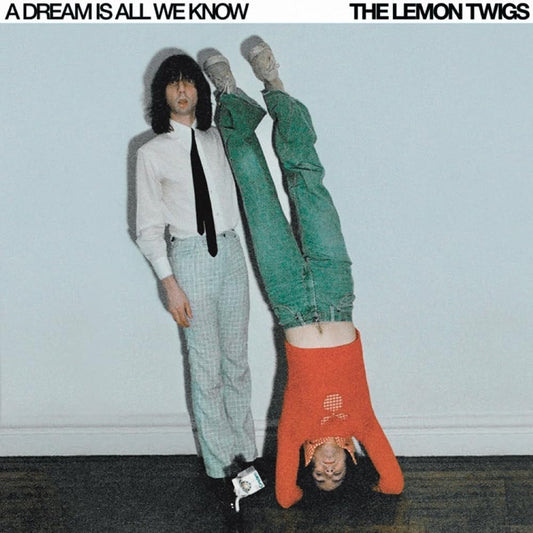 Lemon Twigs/A Dream Is All We Know [CD]