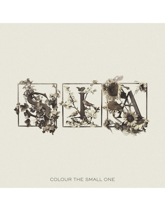 Sia/The Small One (20th Ann. 2LP Coloured Vinyl) [LP]