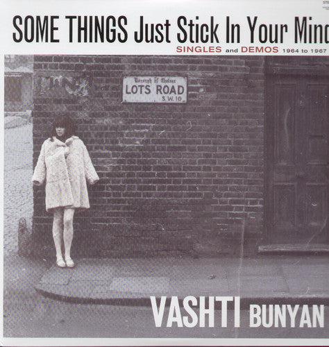 Bunyan, Vashti/Some Things Just Stick In Your Mind [LP]