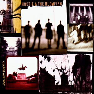 Hootie And The Blowfish/Cracked Rear View (Clear Vinyl) [LP]