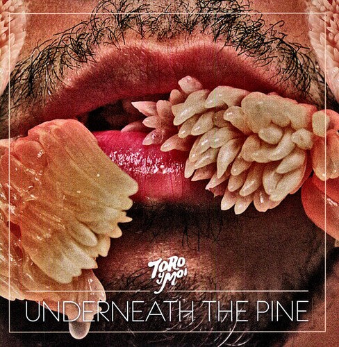 Toro y Moi/Underneath The Pine [LP]