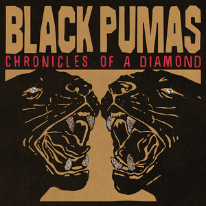 Black Pumas/Chronicles Of A Diamond (Clear Vinyl) [LP]