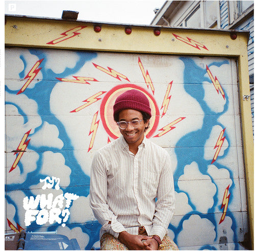 Toro Y Moi/What For? [LP]