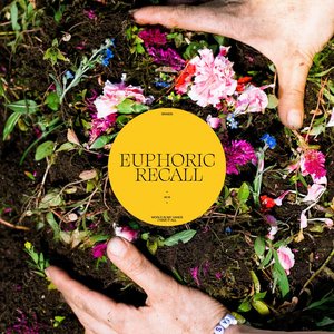 Braids/Euphoric Recall [LP]