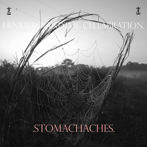 Frnkiero And The Cellabration/Stomachaches [LP]