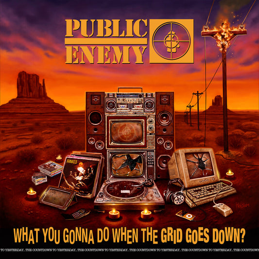 Public Enemy/What You Gonna Do When The Grid Goes Down? [LP]