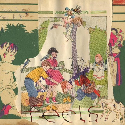 Animal Collective/Feels [LP]