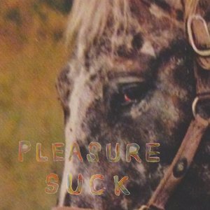 Spirit of the Beehive/Pleasure Suck (Orange Vinyl) [LP]