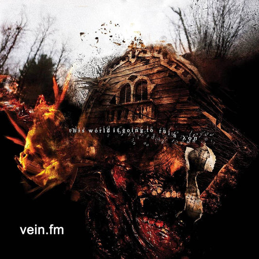 vein.fm/This World Is Going To Ruin You [LP]