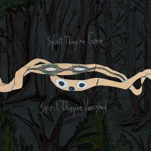 Animal Collective/Spirit They're Gone, Spirit They've Vanished (Grass Green Vinyl) [LP]