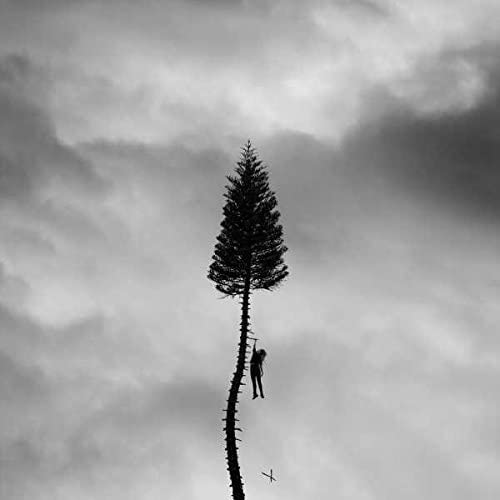 Manchester Orchestra/A Black Mile To The Surface [LP]