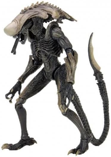 NECA/Alien Vs Predator: Chrysalis Alien [Toy]