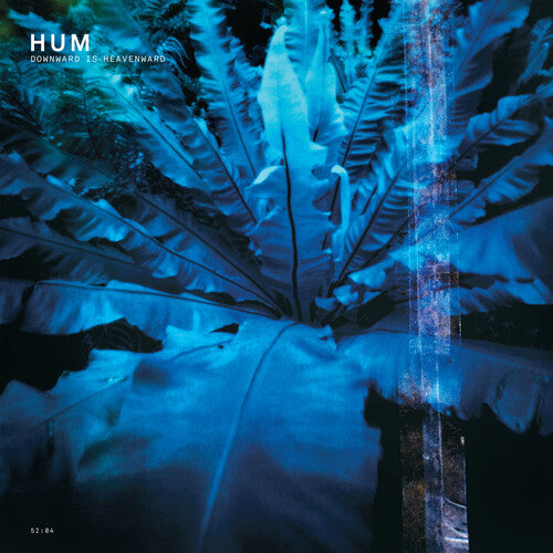 Hum/Downward Is Heavenward [LP]