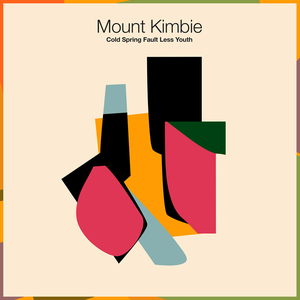 Mount Kimbie/Cold Spring Fault Less Youth [LP]