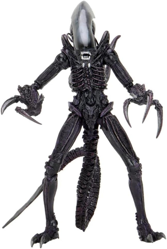 NECA/Alien Vs Predator: Razor Claws Alien [Toy]