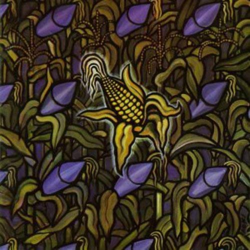 Bad Religion/Against The Grain [LP]