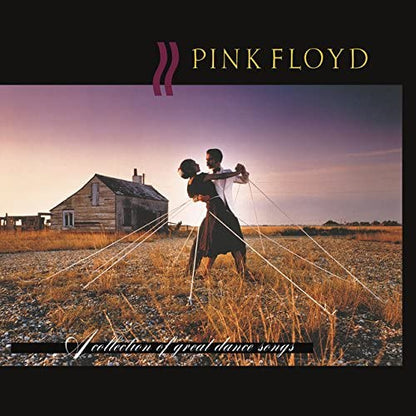 Pink Floyd/A Collection Of Great Dance Songs [LP]
