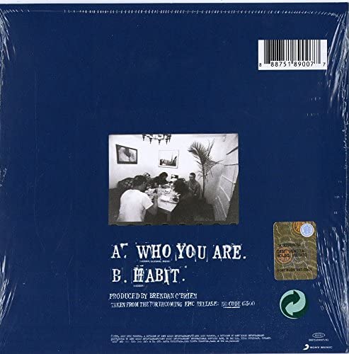 Pearl Jam/Who Are You [7"]