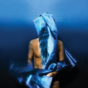 Banhart, Devendra/Flying Wig (Indie Exclusive Blue Vinyl) [LP]