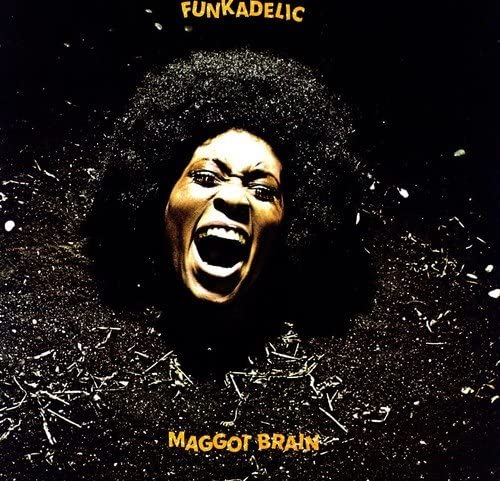 Funkadelic/Maggot Brain [LP]