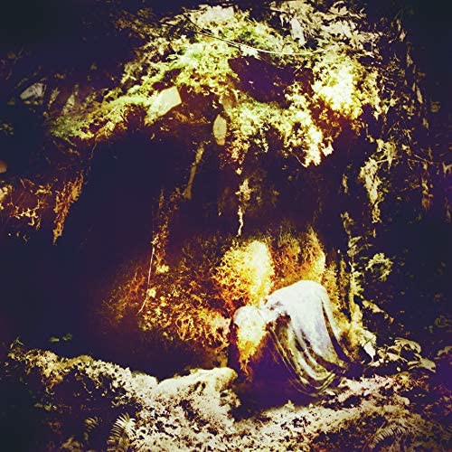 Wolves In The Throne Room/Celestial Lineage [LP]