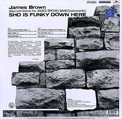 Brown, James/Sho Is Funky Down Here [LP]