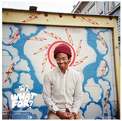 Toro Y Moi/What For? (Deluxe) [LP]