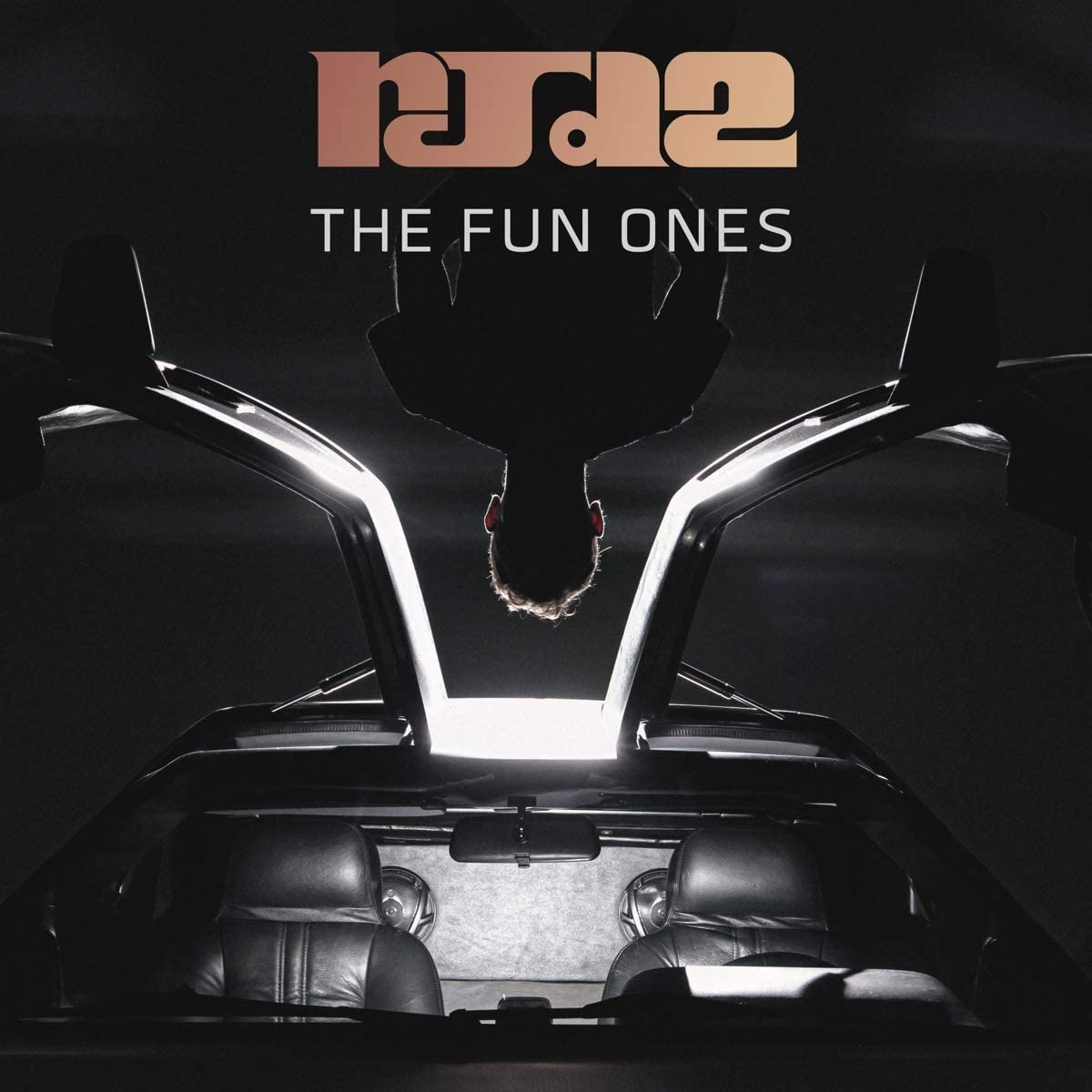 Rjd2/The Fun Ones [LP]
