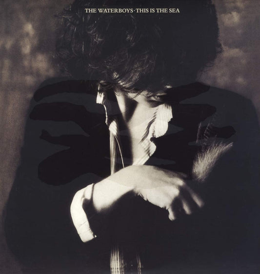 Waterboys/This Is the Sea [LP]
