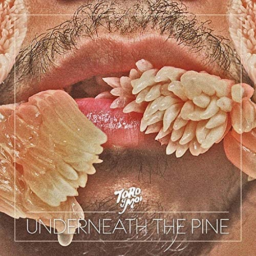 Toro y Moi/Underneath The Pine (Coloured Vinyl) [LP]