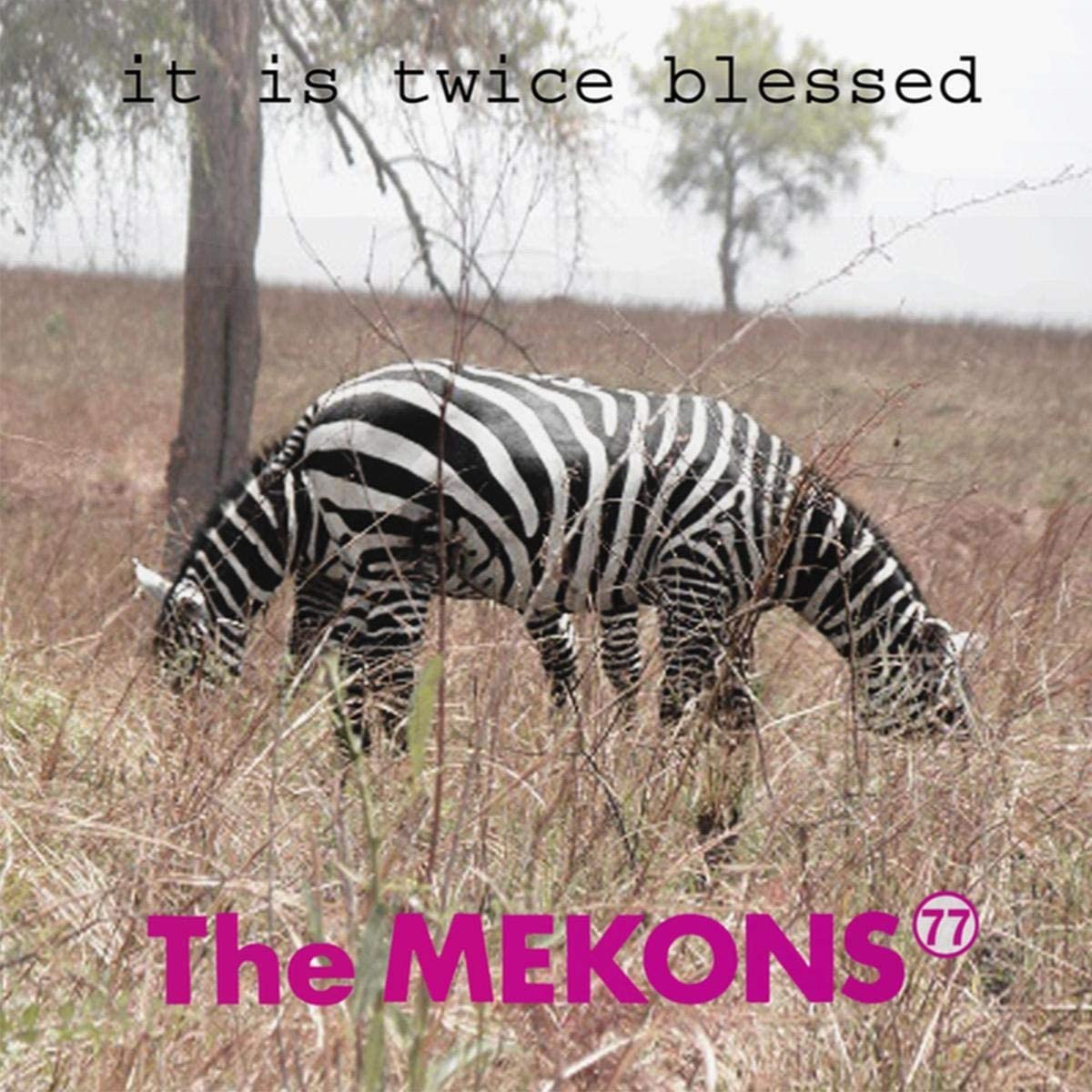 Mekons 77, The/It Is Twice Blessed [LP]