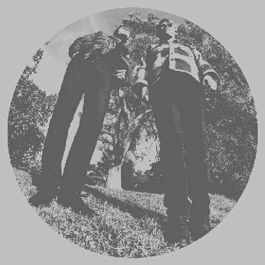 Segall, Ty & White Fence/Hair [LP]