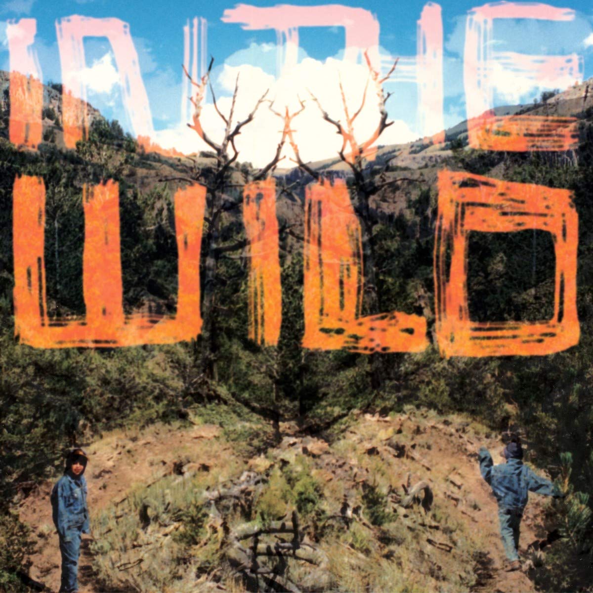 FaltyDL/In The Wild (2LP) [LP]