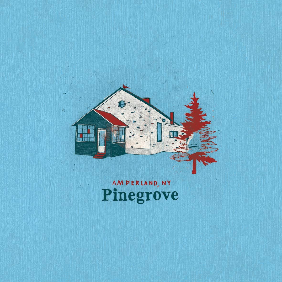 Pinegrove/Amperland, NY [LP]