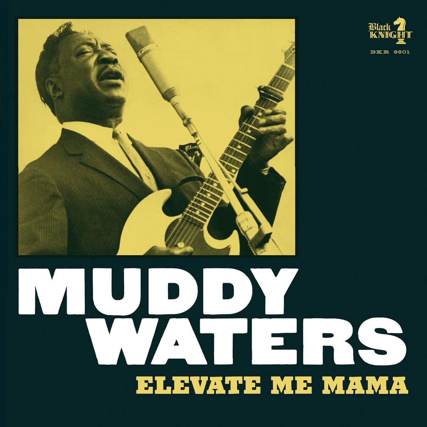 Waters, Muddy/Elevate Me Mama [LP]