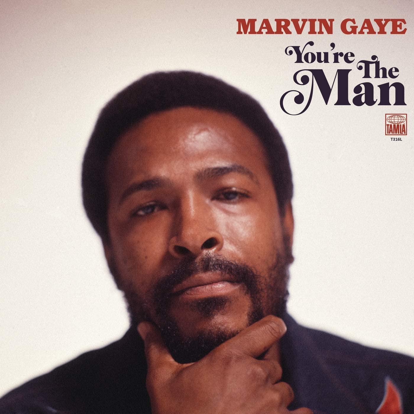 Gaye, Marvin/You're The Man [LP]