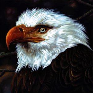 Mogwai/The Hawk Is Howling (White Vinyl) [LP]