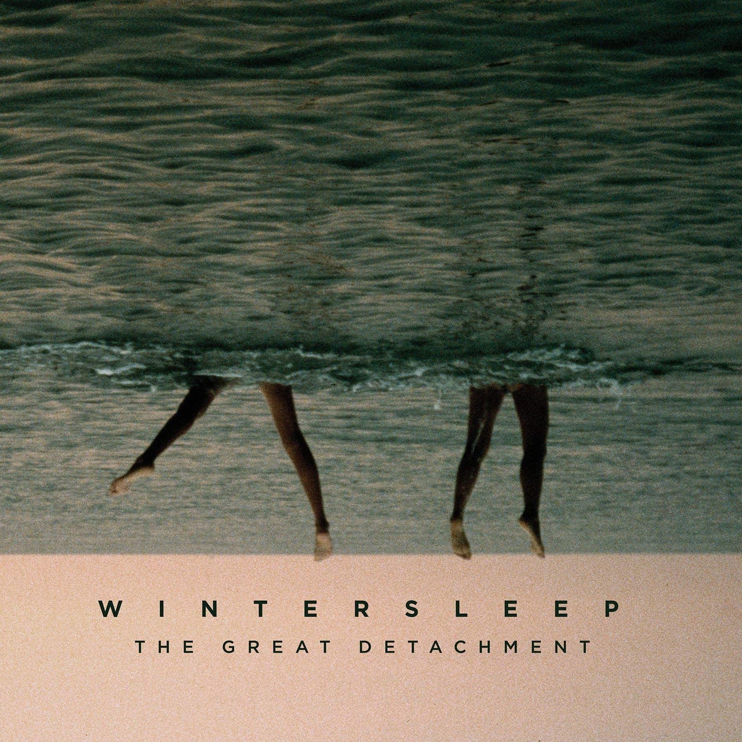 Wintersleep/The Great Detachment [LP]