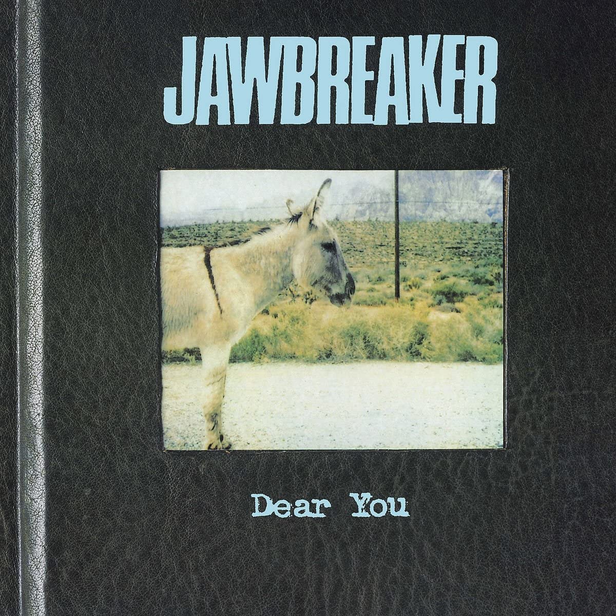 Jawbreaker/Dear You [LP]
