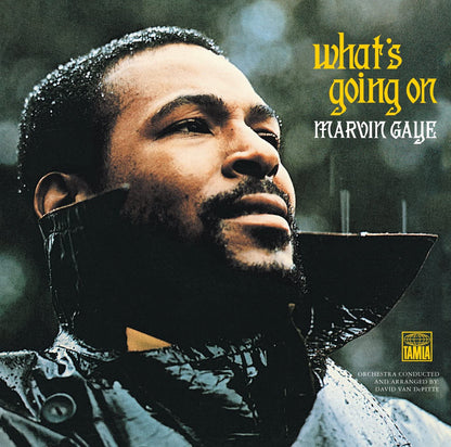 Gaye, Marvin/What's Going On [CD]