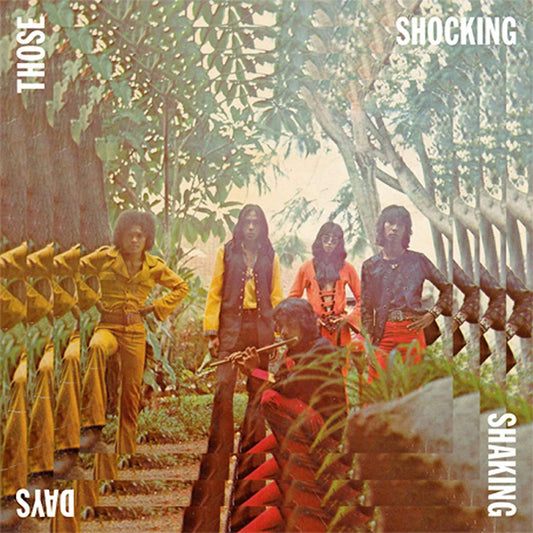 Various Artists/Those Shocking Shaking Days (3LP) [LP]