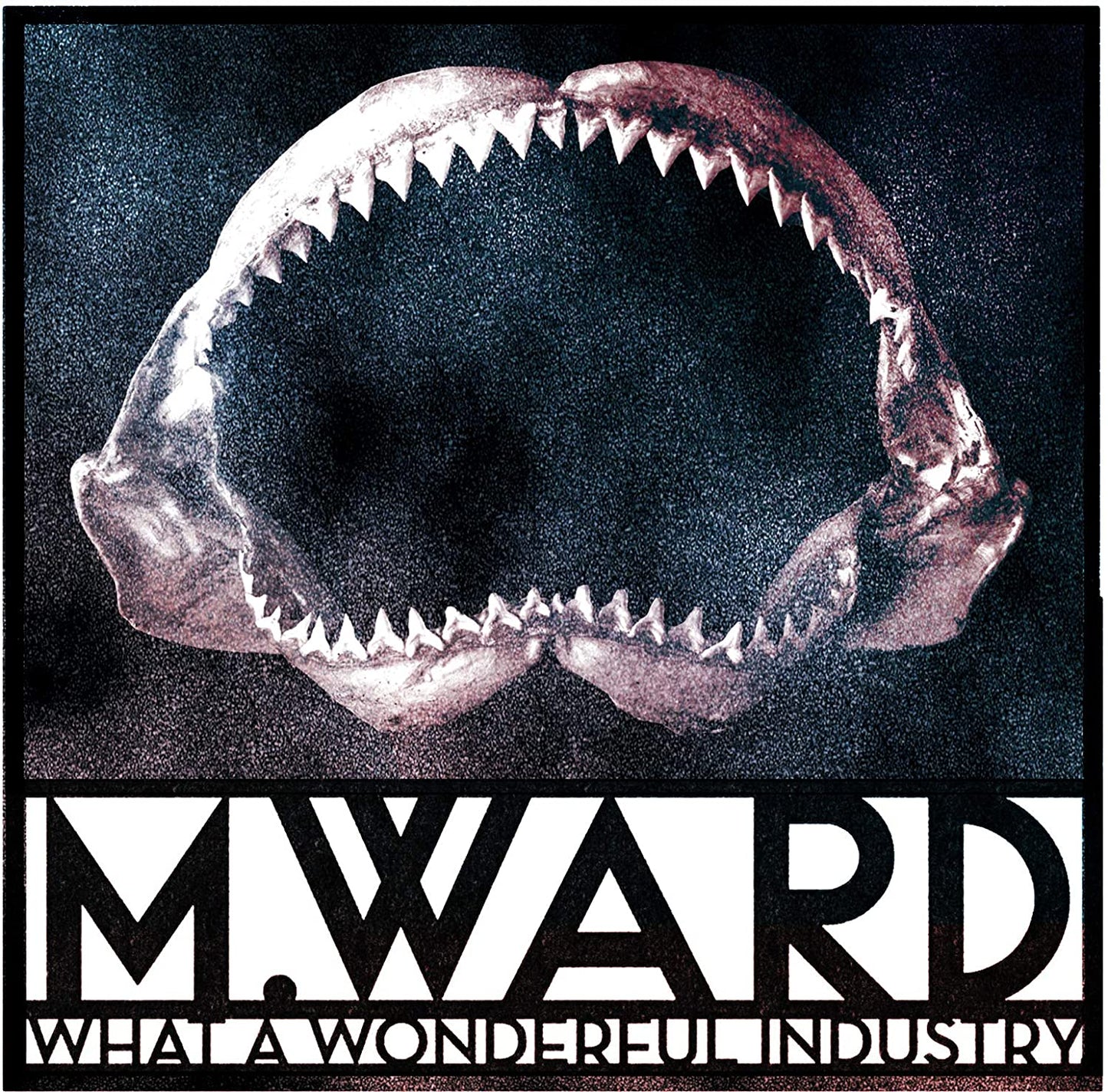 Ward, M/What A Wonderful Industry [LP]