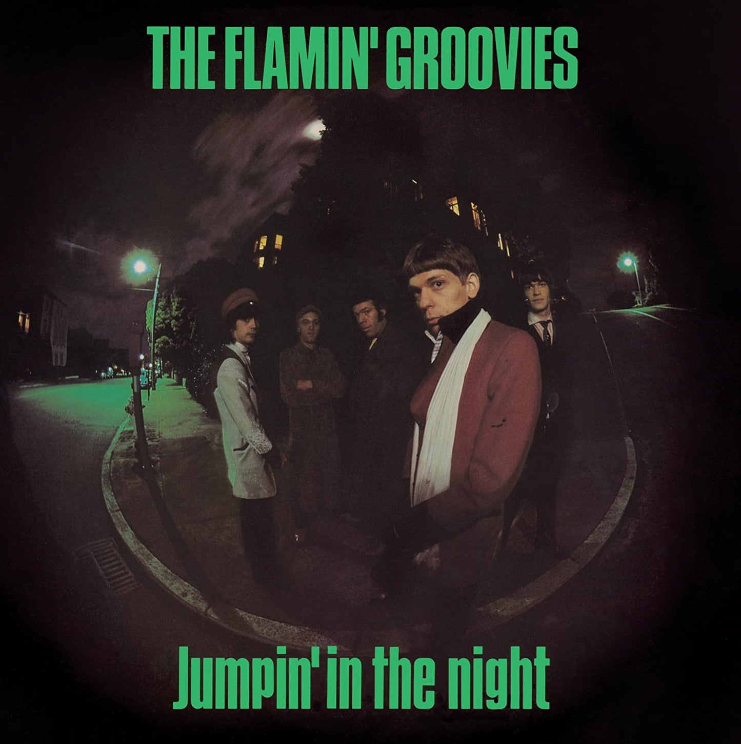 Flamin' Groovies/Jumpin' In the Night [LP]