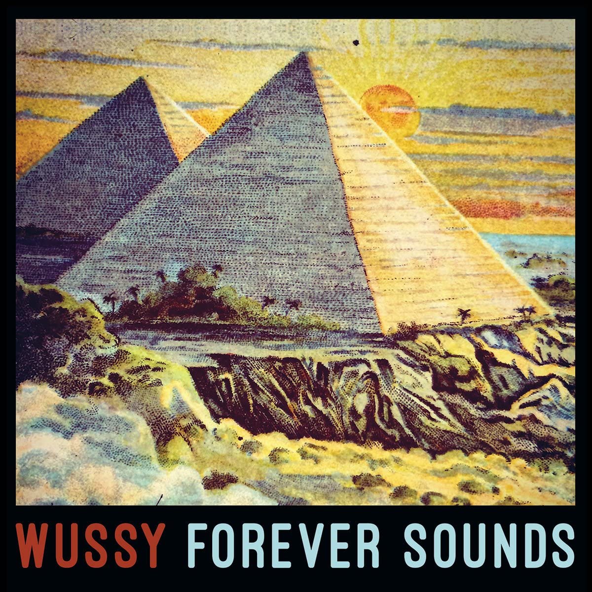 Wussy/Forever Sounds [LP]