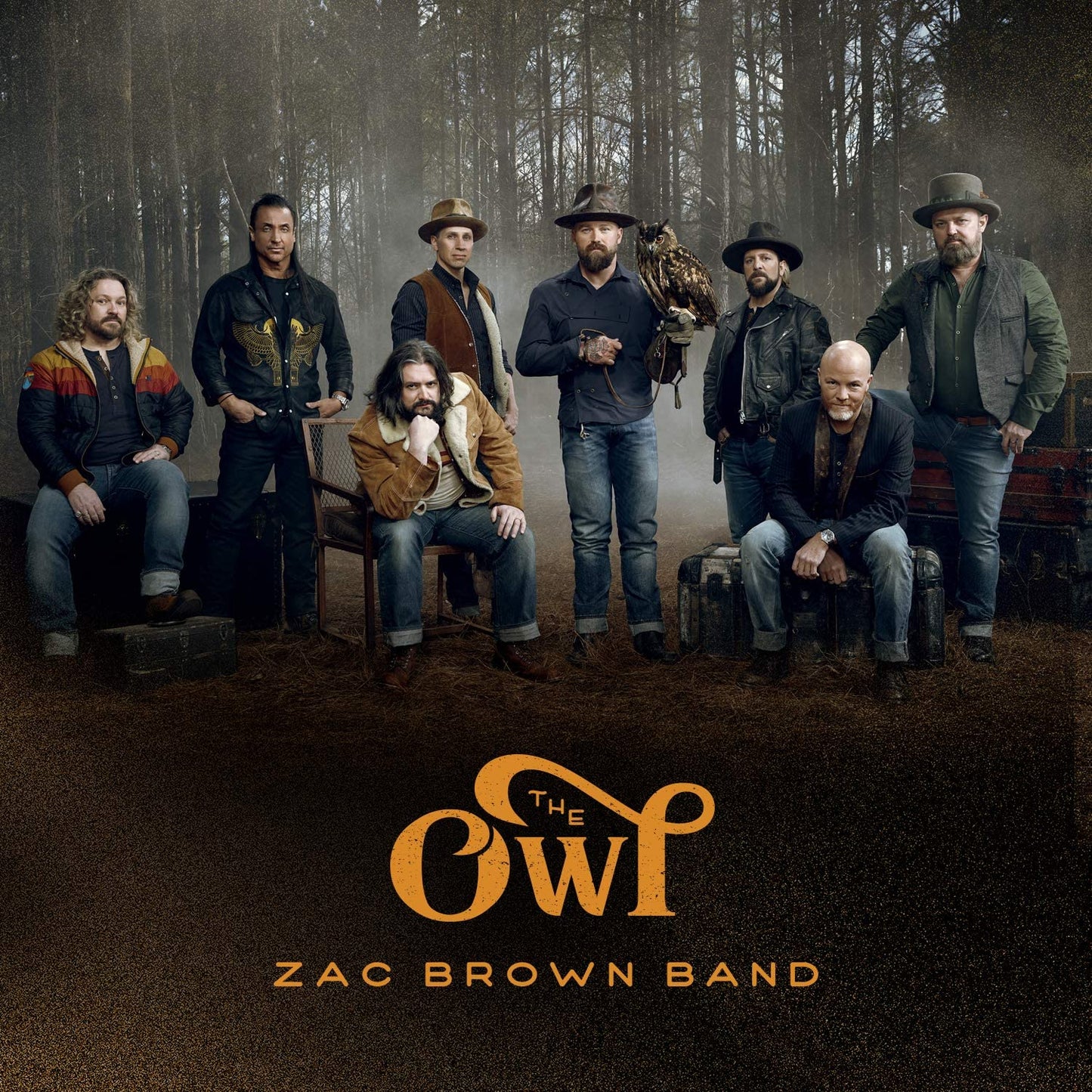 Brown, Zac/The Owl [CD]