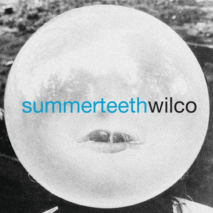 Wilco/Summerteeth (2LP) [LP]