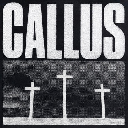 Gonjasurfi/Callus [LP]