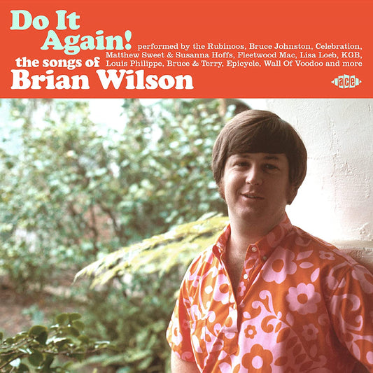 Various Artists/Do It Again!: The Songs Of Brian Wilson [CD]